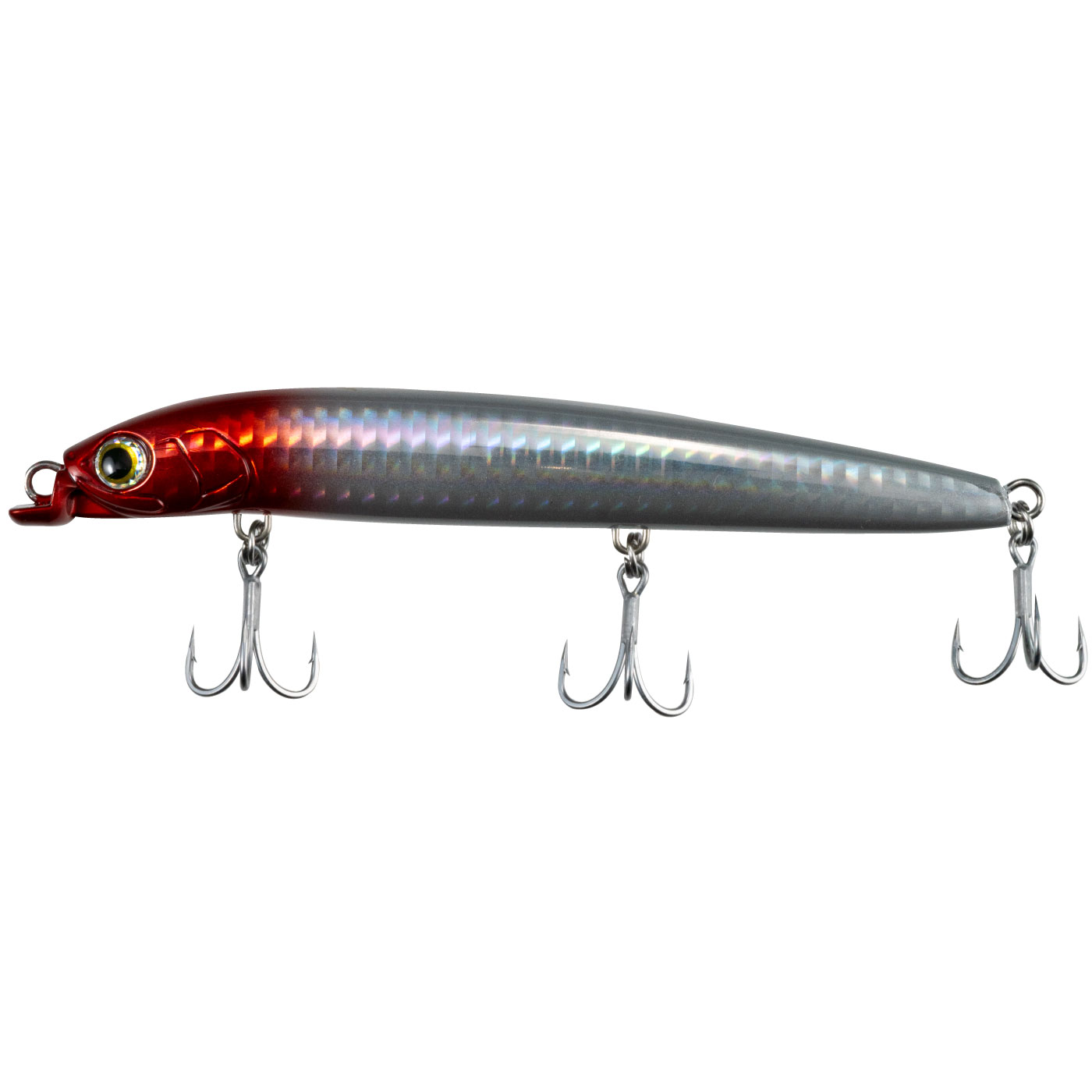 Maria Chovy SF125 - Promarine Maria Chovy SF125 - immagine 6