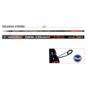 Kolpo Canna Galassia Strong 6 MT