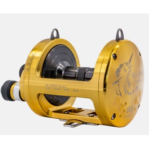 Tica Mulinello Tica Team TM 16 EW TS G